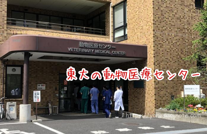 ドッグフード 東京大学