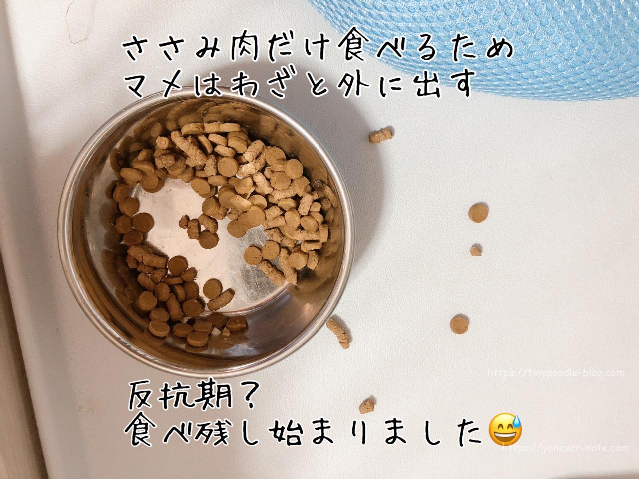 もしかしてドライフード飽きた カリカリを食べないので新しいドッグフードに変えてみた トイプードルと谷根千暮らし もしかしてドライフード飽きた カリカリを食べないので新しいドッグフードに変えてみた トイプードルと谷根千暮らし